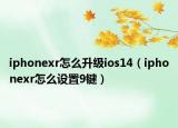 iphonexr怎么升级ios14（iphonexr怎么设置9键）