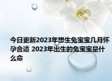 今日更新2023年想生兔宝宝几月怀孕合适 2023年出生的兔宝宝是什么命