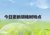今日更新胡杨树特点