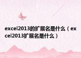 excel2013的扩展名是什么（excel2013扩展名是什么）