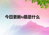 今日更新u盾是什么