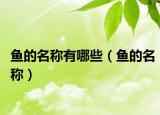 鱼的名称有哪些（鱼的名称）