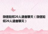 微信如何20人语音聊天（微信如何20人语音聊天）