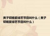 黄子韬杨紫综艺节目叫什么（黄子韬杨紫综艺节目叫什么）