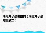 南煎丸子是哪国的（南煎丸子是哪里的菜）
