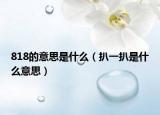 818的意思是什么（扒一扒是什么意思）