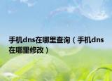 手机dns在哪里查询（手机dns在哪里修改）