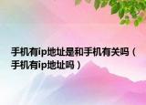 手机有ip地址是和手机有关吗（手机有ip地址吗）