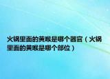火锅里面的黄喉是哪个器官（火锅里面的黄喉是哪个部位）