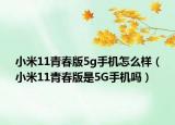 小米11青春版5g手机怎么样（小米11青春版是5G手机吗）