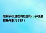 限制手机进程有危害吗（手机进程是限制几个好）
