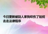 今日更新被别人家狗咬伤了如何去走法律程序