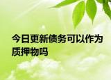 今日更新债务可以作为质押物吗