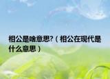 相公是啥意思?（相公在现代是什么意思）