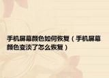 手机屏幕颜色如何恢复（手机屏幕颜色变淡了怎么恢复）