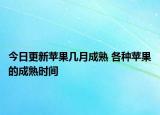 今日更新苹果几月成熟 各种苹果的成熟时间