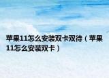 苹果11怎么安装双卡双待（苹果11怎么安装双卡）