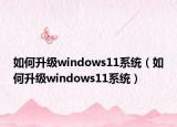 如何升级windows11系统（如何升级windows11系统）
