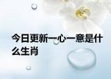 今日更新一心一意是什么生肖