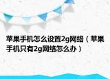 苹果手机怎么设置2g网络（苹果手机只有2g网络怎么办）