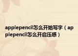 applepencil怎么开始写字（applepencil怎么开启压感）