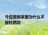 今日更新家里为什么不放杜鹃花