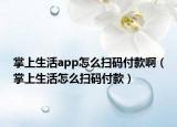 掌上生活app怎么扫码付款啊（掌上生活怎么扫码付款）