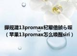 鑻规灉13promax杞荤偣鍞ら啋（苹果13promax怎么唤醒siri）