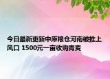 今日最新更新中原粮仓河南被推上风口 1500元一亩收购青麦