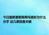 今日最新更新陈翔毛晓彤为什么分手 这几原因是关键