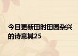 今日更新田时田园杂兴的诗意其25