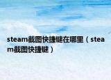 steam截图快捷键在哪里（steam截图快捷键）