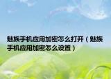 魅族手机应用加密怎么打开（魅族手机应用加密怎么设置）