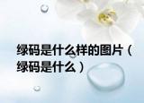 绿码是什么样的图片（绿码是什么）