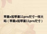苹果x和苹果11pro尺寸一样大吗（苹果x和苹果11pro尺寸）