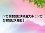 pr怎么恢复默认轨道大小（pr怎么恢复默认界面）