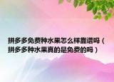 拼多多免费种水果怎么样靠谱吗（拼多多种水果真的是免费的吗）
