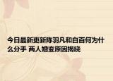 今日最新更新陈羽凡和白百何为什么分手 两人婚变原因揭晓