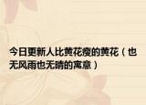 今日更新人比黄花瘦的黄花（也无风雨也无晴的寓意）