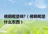 佛鹅呢是啥?（佛鹅呢是什么东西）