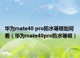 华为mate40 pro防水等级如何看（华为mate40pro防水等级）