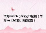 华为watch gt2和gt2区别（华为watch2和gt2的区别）