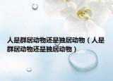 人是群居动物还是独居动物（人是群居动物还是独居动物）