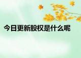 今日更新股权是什么呢
