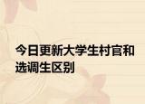 今日更新大学生村官和选调生区别