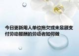 今日更新用人单位拖欠或未足额支付劳动报酬的劳动者如何做