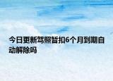 今日更新驾照暂扣6个月到期自动解除吗