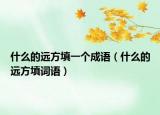 什么的远方填一个成语（什么的远方填词语）