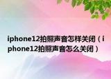iphone12拍照声音怎样关闭（iphone12拍照声音怎么关闭）