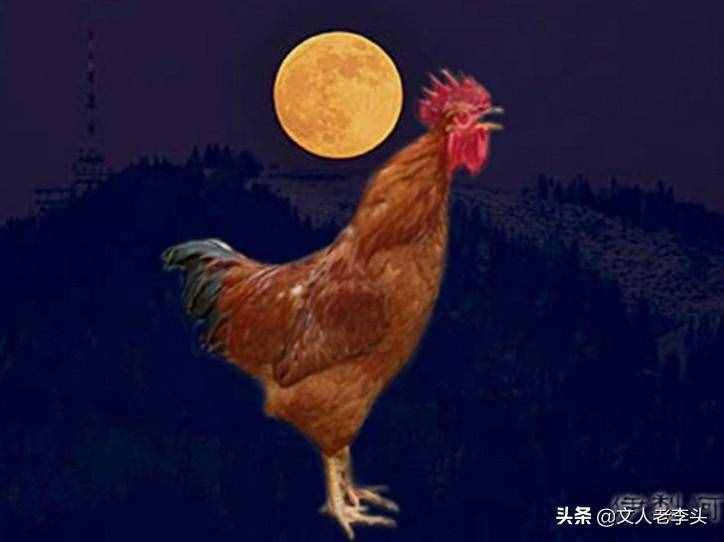 上联：金鸡报晓生阳蛋！求下联？
